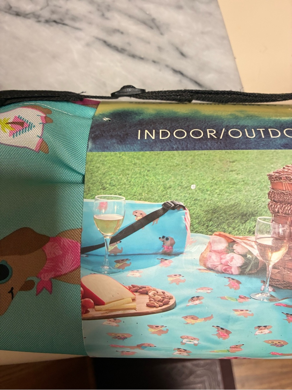Cynthia Rowley Indoor/Outdoor Reversible Blanket in Teal and Yellow-Green